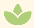 Light green wellness leaf icon symbolizing Latattore Foundation’s commitment to health and well-being initiatives